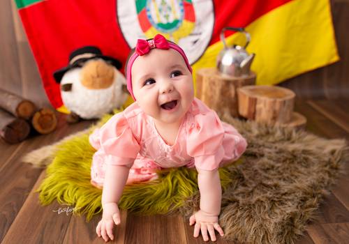 ACOMPANHAMENTO MENSAL de Heloisa - 07 meses