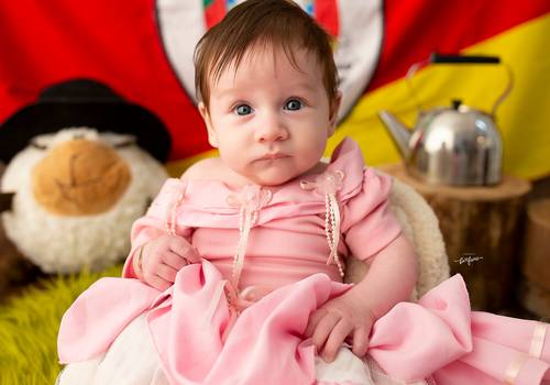 ACOMPANHAMENTO MENSAL de Luiza - 03 meses