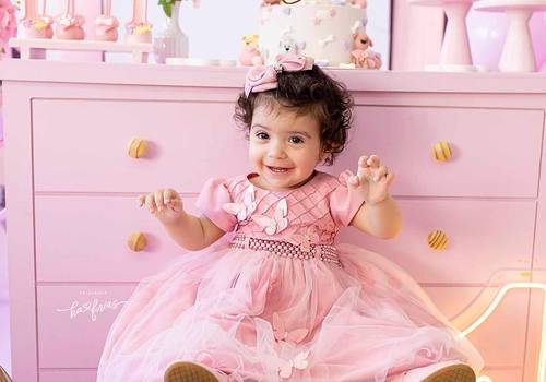 Aniversário Infantil de Aniver da Louise 