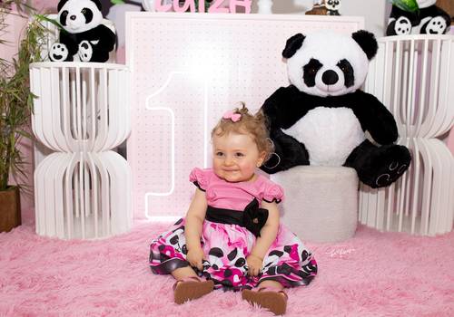 Aniversário Infantil de Aniver Luiza