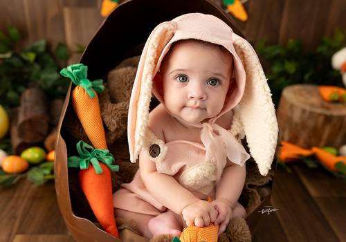 ACOMPANHAMENTO MENSAL de Ammelie - 06 meses