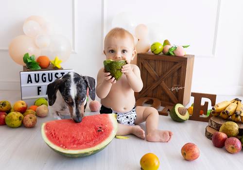 Smash The Cake de Smash Augusto