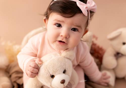 ACOMPANHAMENTO MENSAL de Liz - 06 meses