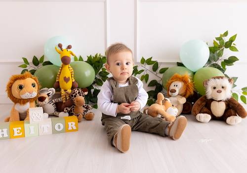 ACOMPANHAMENTO TRIMESTRAL de Heitor - 09 meses