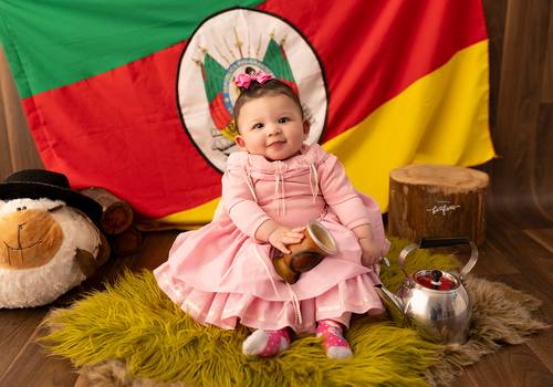 ACOMPANHAMENTO MENSAL de Anna Flavia - 06 meses