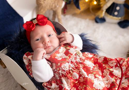 Natal 2024 de Beatriz - Natal 2024