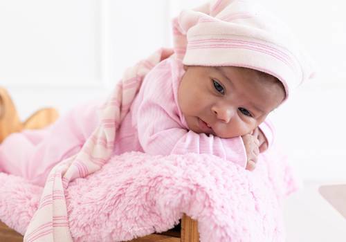 ACOMPANHAMENTO MENSAL de Ahitana - 01 mês