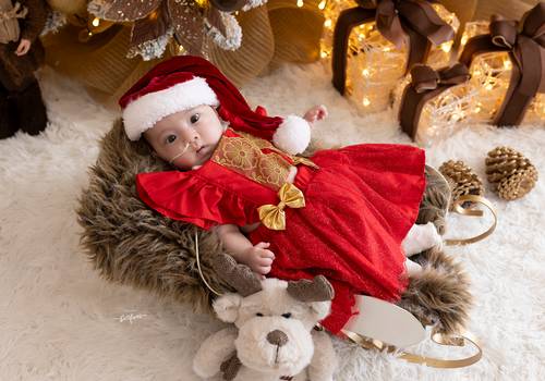 Natal 2025 de Liz - Natal 2025