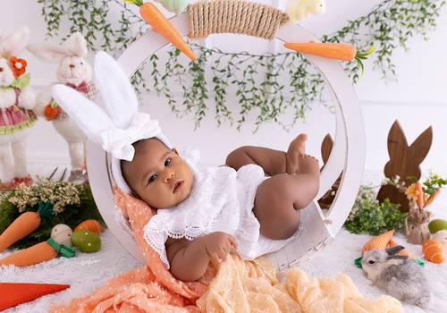 ACOMPANHAMENTO MENSAL de Ahitana - 06 meses