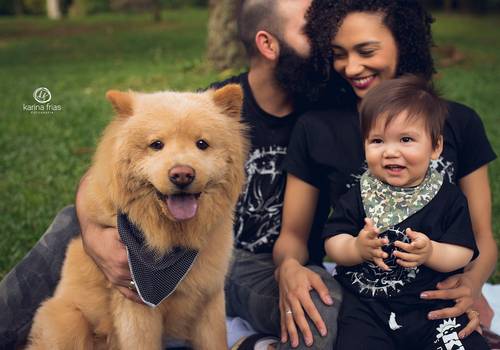 Infantil de Ensaio 01 aninho Noah