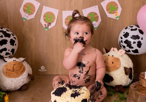 Smash The Cake de Smash The Cake Luiza