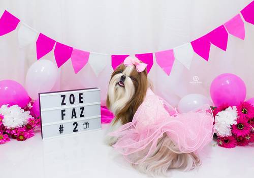 Pets de Zoe - 02 aninhos