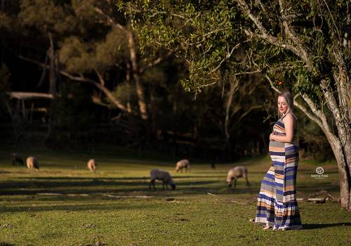 Gestante de Ensaio Gestante Cibeli