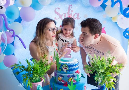 Aniversário Infantil de Aniver Sofia - 02 anos