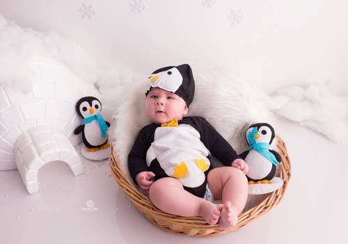 ACOMPANHAMENTO MENSAL de Noah - 05 meses