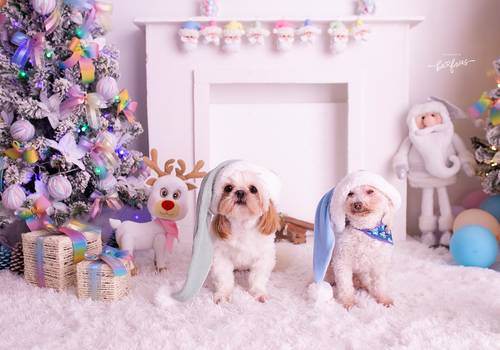 NATAL 2021 de Schowlder e Hunter