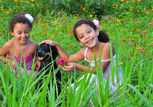 INFANTIS de  INFANTIL EXTERNO