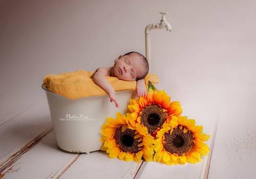 NewBorn de Ensaio do bebé recém nascido Dudo 