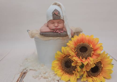 NewBorn de Book de recém-nascido Dudo
