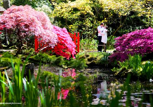 Casamento de ENSAIO  |  CARLA E CORS