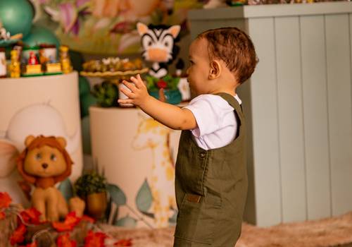 Aniversário de Lucas | 1 Ano