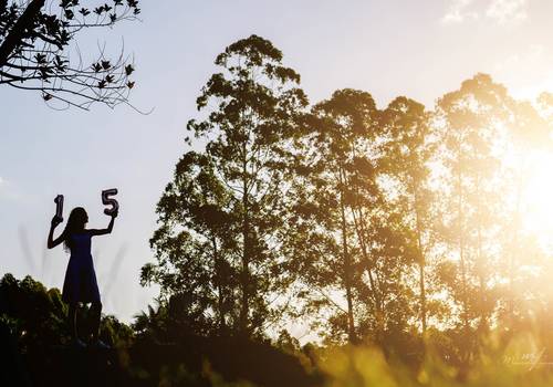 15 Anos de Os 15 Anos de Lívia Porto