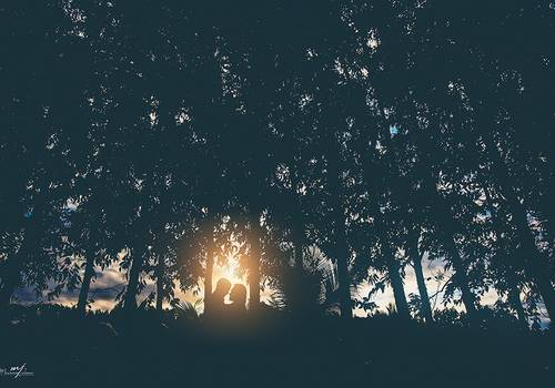 Pré Wedding  de Lourrane e João