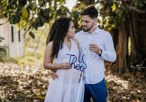 Gestante de Ansiosos pela chegada de Theo!