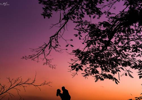 Pré Wedding  de Ensaio Pré Wedding de Graciele e César