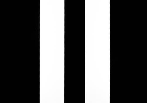 Casamentos de Sarah e Sérgio