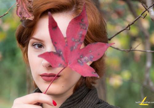 Feminino de Vivi Bruscato