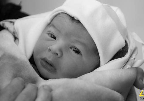  Família de Bernardo José | Nascimento