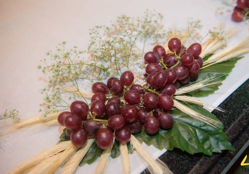 Fé de Missa de Ordenação Diaconal - Votos Perpétuos