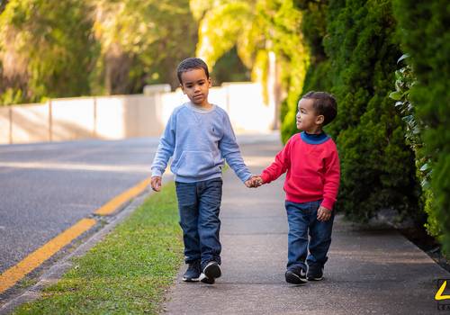  Família de Família Oliveira