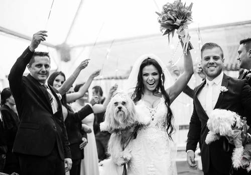 Casamento de Pamela & Vinicius