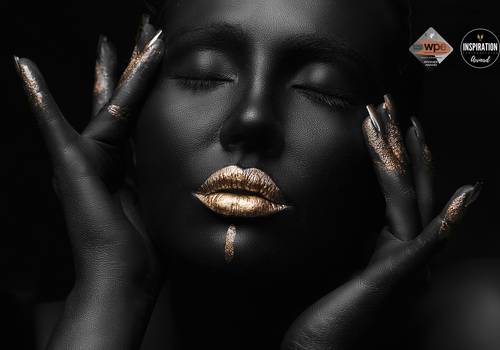 Telas de Black and Gold - 1