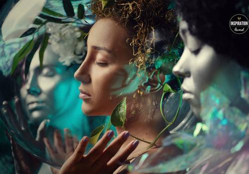 Telas de Alinhamento