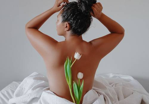 Telas de Tulipa - Renascimento