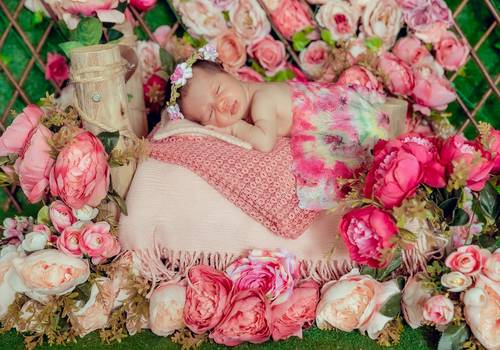 Newborn de New Born Menina