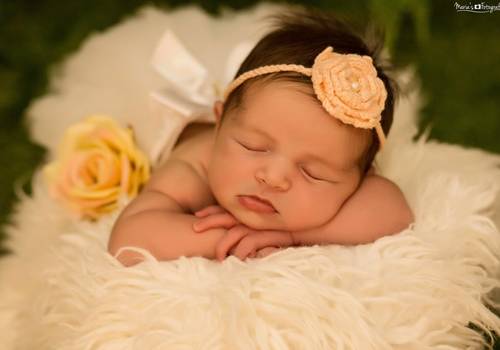 Newborn de Ensaio Newborn