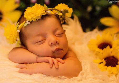 Newborn de Ensaio Newborn