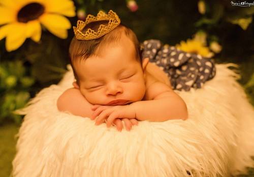 Gestante de Ensaio Newborn