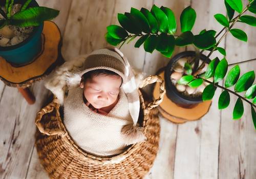 Newborn de Ensaio Newborn