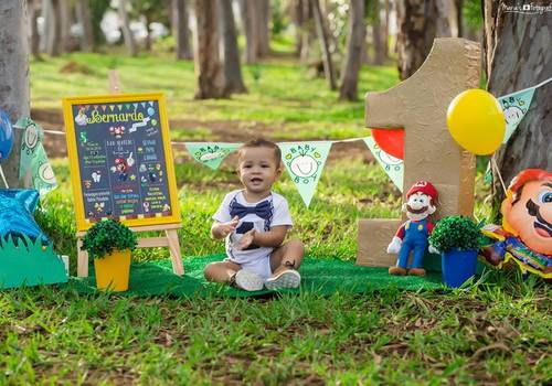 Infantil de Ensaio Smash The Cake