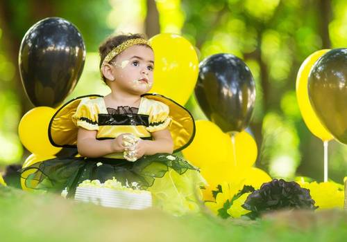 Infantil de Ensaio Smash The Cake - ABELHA