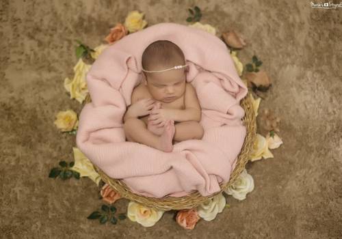 Newborn de Ensaio Newborn