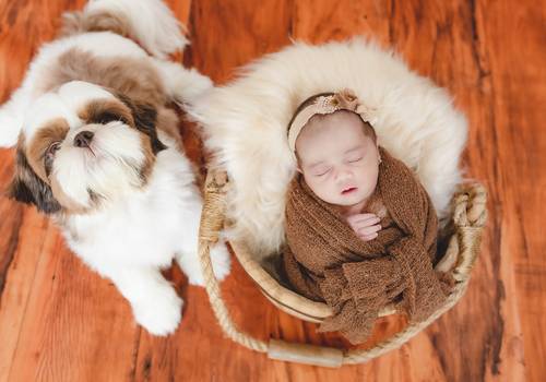 Newborn de Newborn