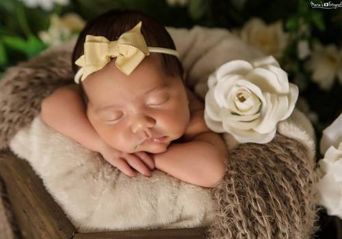 Newborn de Ensaio Newborn  