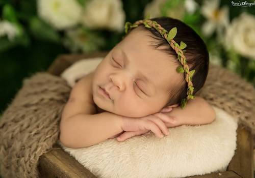 Newborn de Ensaio Newborn
