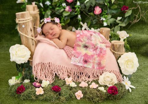 Newborn de Ensaio Newborn